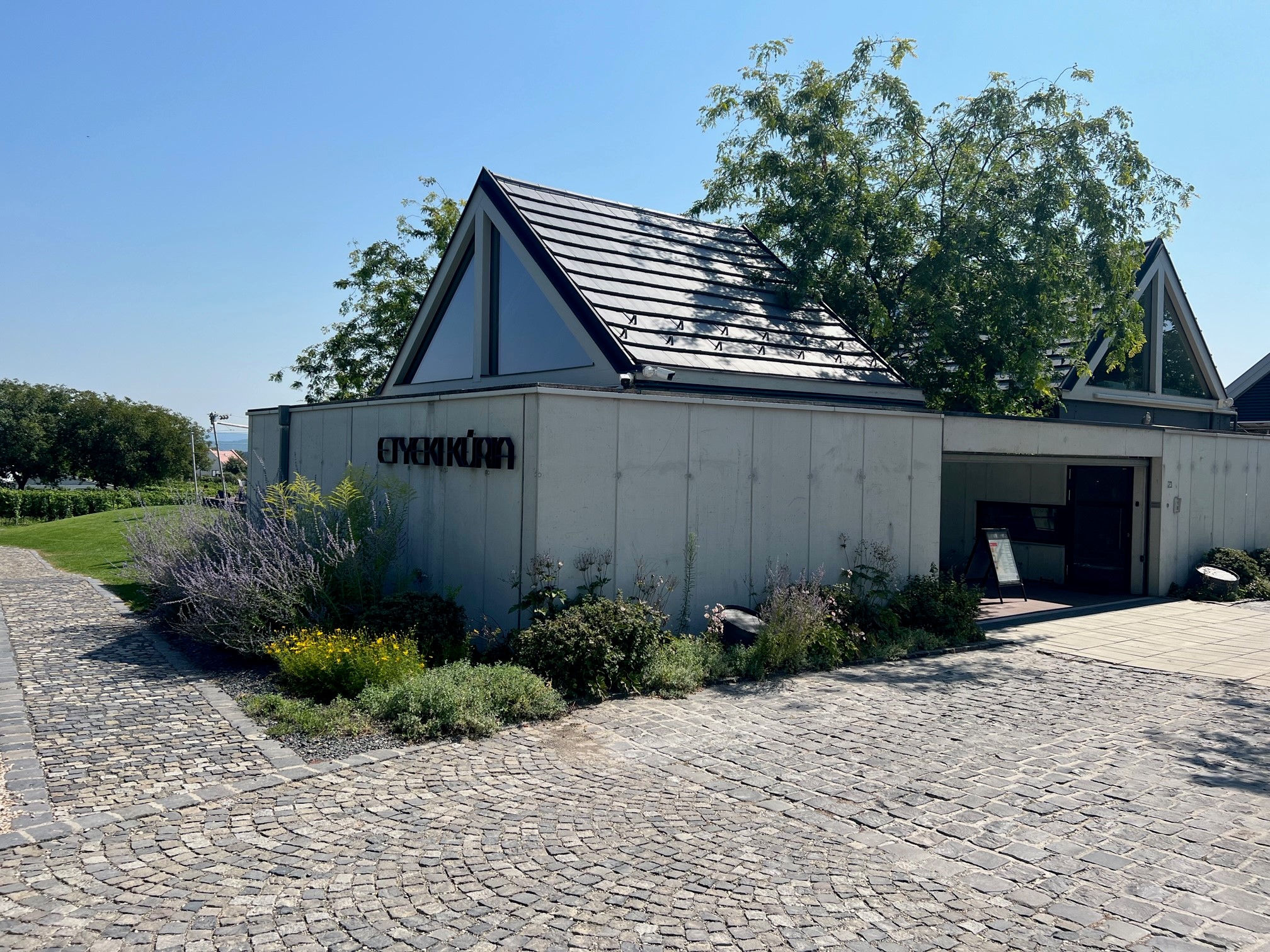 Vingård